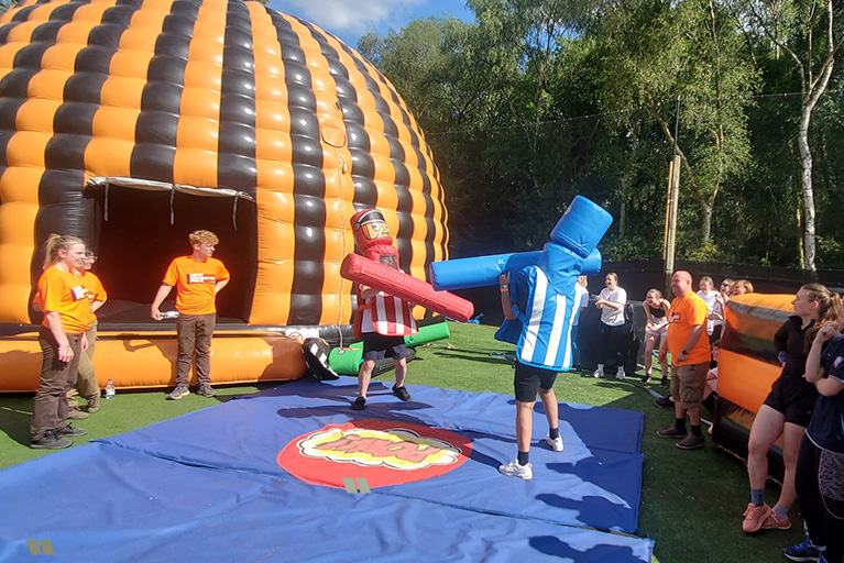 hen inflatables
